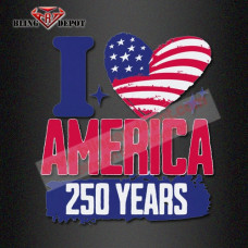 250 Years USA Design DTF Transfer Vintage American Flag  DTF Print